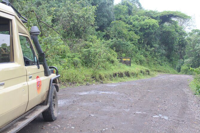 Tour at Arusha National Park - Who Should Consider This Tour?