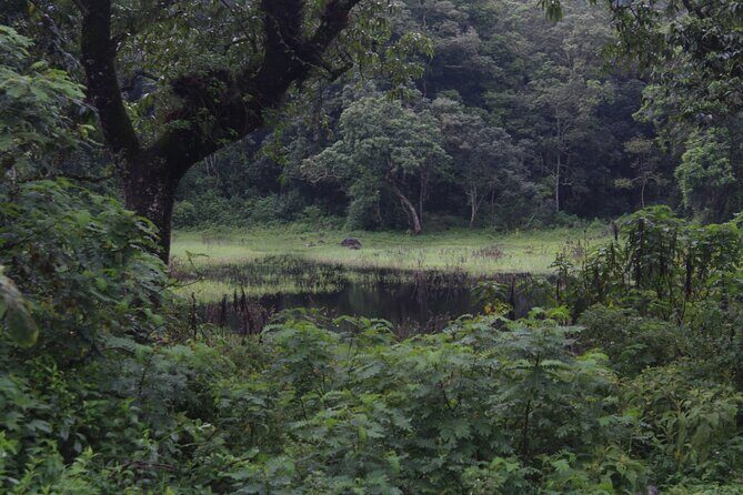 Tour at Arusha National Park - Frequently Asked Questions
