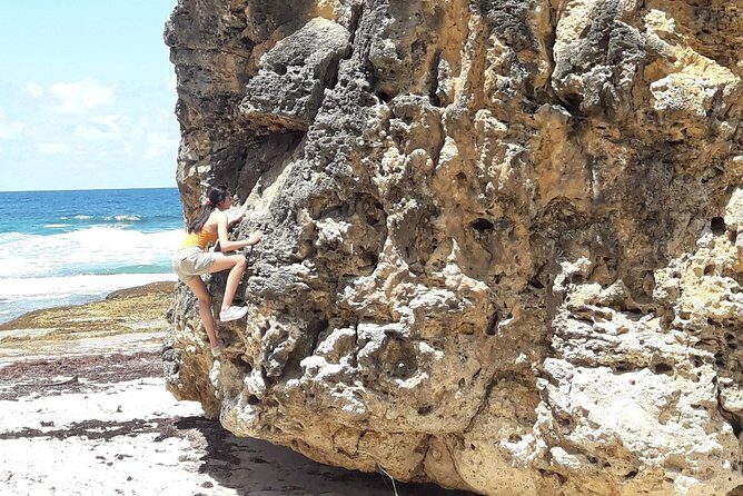 Tour Barbados Your Way - A Deep Dive into the Experience