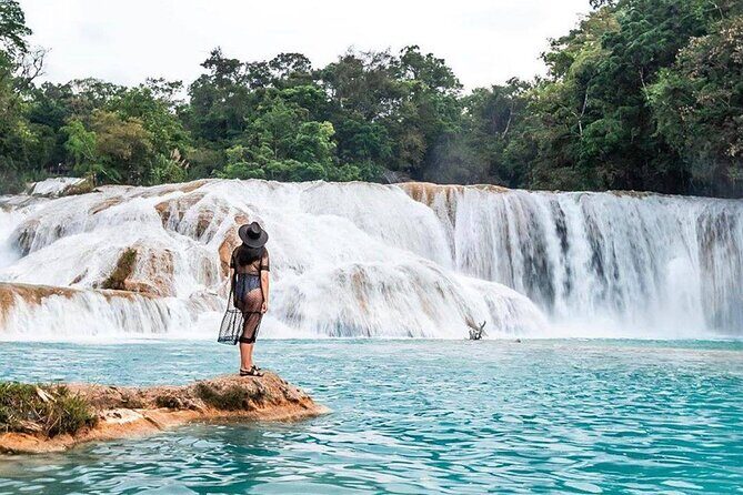 Tour Blue Waterfalls MisolHa and Palenque Waterfall - Key Points