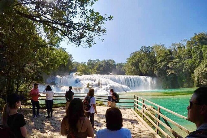 Tour Blue Waterfalls MisolHa and Palenque Waterfall - Final Thoughts