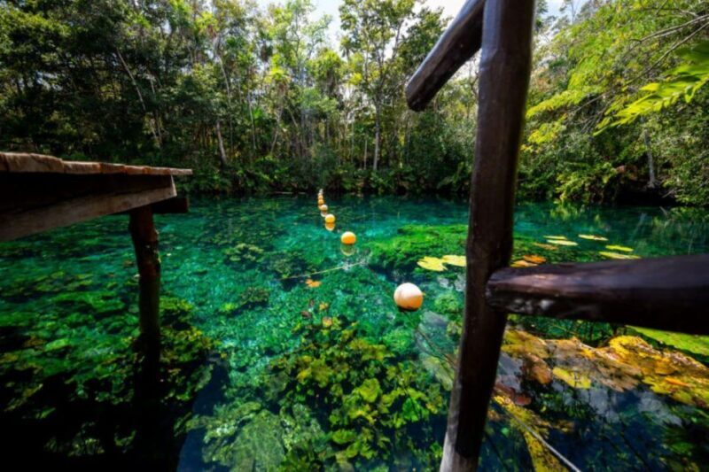 Tour Coba Ruins & Refreshing Cenote Xux Ha Swim With Lunch - Cenote Xux Ha: A Natural Showstopper