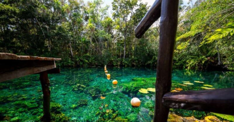 Tour Coba Ruins & Refreshing Cenote Xux Ha Swim With Lunch - FAQ