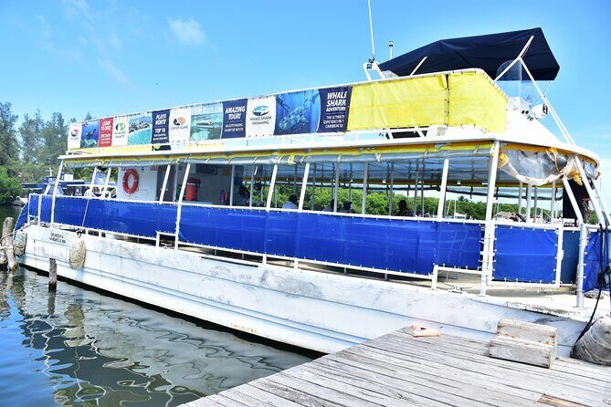 Tour Contoy Magic Island! Round Transportation From Cancun & Playa Del Carmen - A Day in the Life: What to Expect