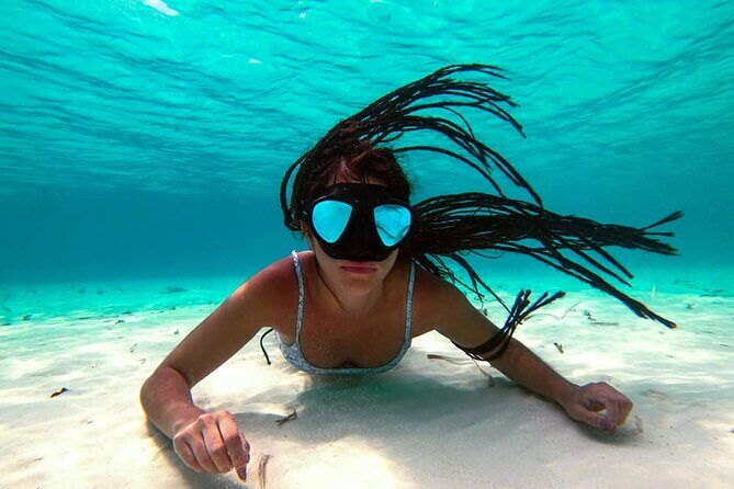 Tour Cozumel Snorkel Experience! Lunch & Transportation only from Cancun - An In-Depth Look at the Experience