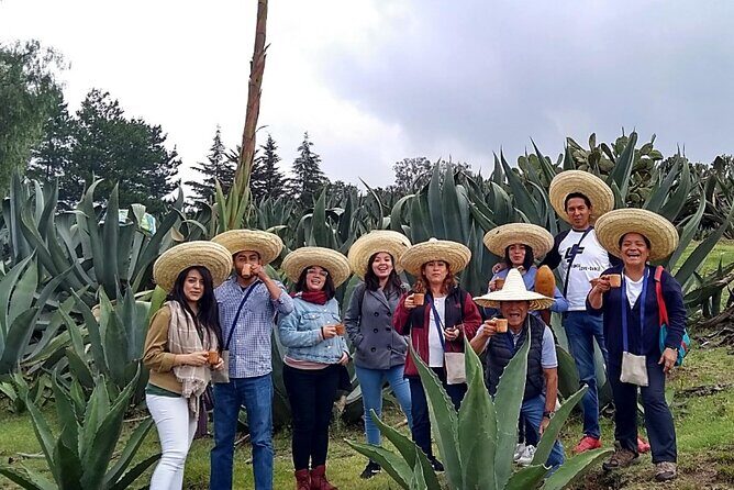 Tour de Pulque en Tepotzotlán, Pueblo Mágico - Final Thoughts: Why Choose This Experience?