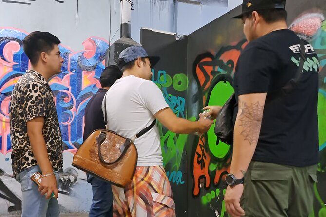 Tour Evolution of Muralism paints your Grafiti - Practical Details and Value