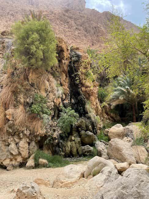 Tour Fatimah-2 Day 1 Night in Ras Al Hadd,Oman Tours Package - What’s Included and What’s Not