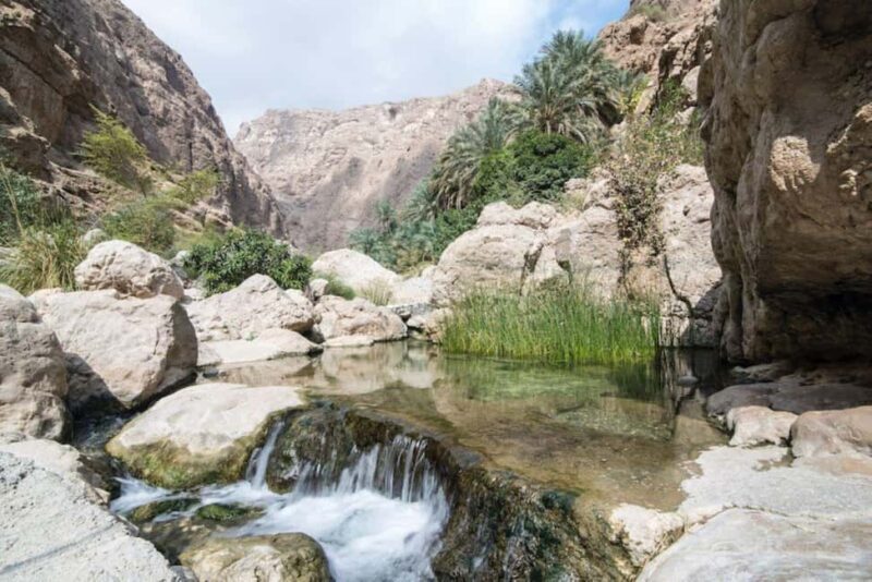 Tour Fatimah-2 Day 1 Night in Ras Al Hadd,Oman Tours Package - Authentic Experiences and Practical Insights