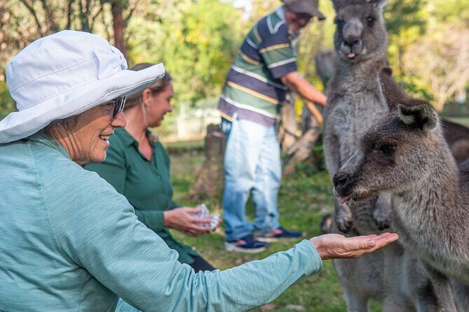 Tour from Eden to Merimbula Wetlands Wildlife and Coastline - In-Depth Look at the Itinerary