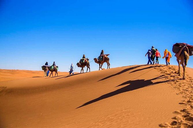 Tour from Marrakech to Fes 3 Days - An Overview of the Experience