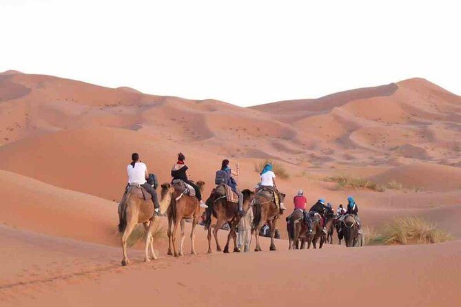 Tour from Marrakech to Fes 3 Days - Authentic Experiences and Comfort