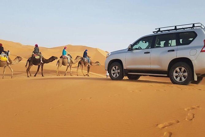 Tour from Marrakech to Fes 3 Days - Analyzing the Value
