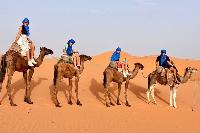 Tour from Ouarzazate to Vallee Du Draa and Dunes Of Tinfou - An Honest Look at the Price and Value
