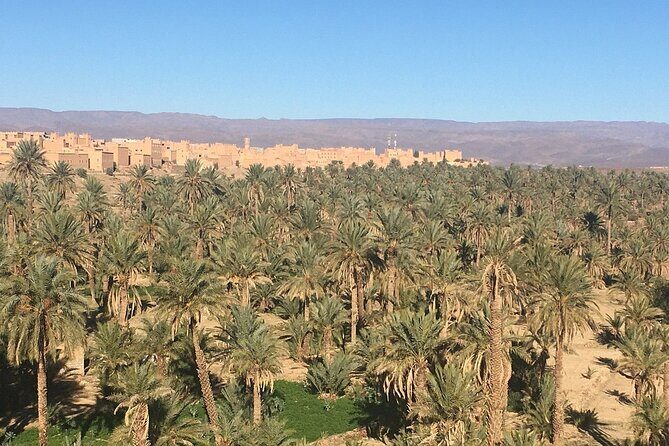 Tour from Ouarzazate to Vallee Du Draa and Dunes Of Tinfou - Who Is This Tour Best For?