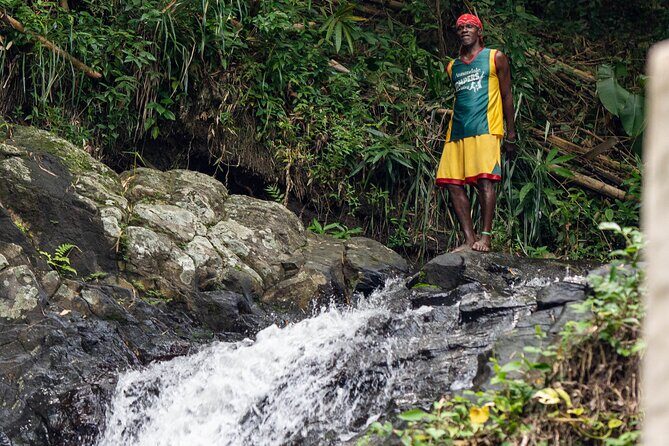 Tour Grenada: Annandale, Grand Etang and Grand Anse beach - A Closer Look at the Tour Experience