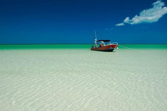 Tour Holbox at Pasion Island & Cenote Yalahau from Cancún - A Practical Look at the Tour Experience
