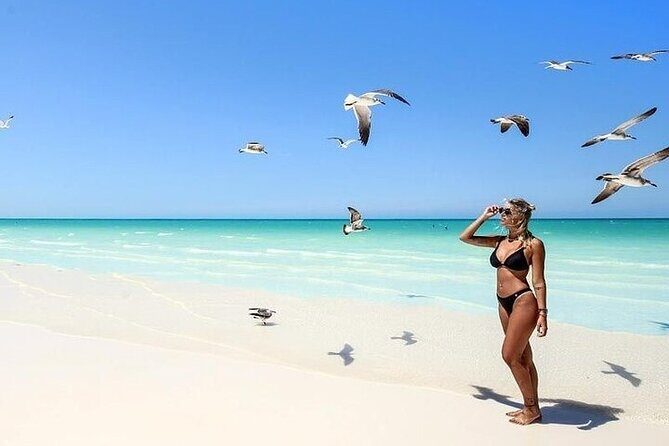 Tour in Holbox with Transportation and Lunch - Exploring the Detailed Itinerary