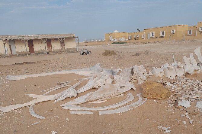 Tour in Mauritania - Cost and Value: Is it worth it?