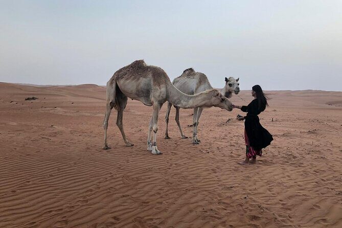 Tour Jawahir 2 Days-1 Night In Wahiba Sands, Oman Tours Package - Key Points