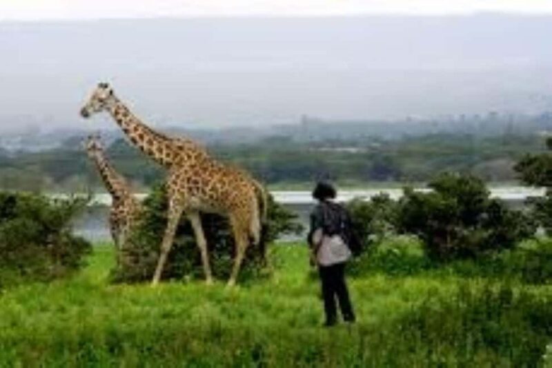 TOUR-L NAIVASHA/HELL'S GATE,CRESCENT ISLAND & GEOTHERMAL SPA - Practical Details and Tips