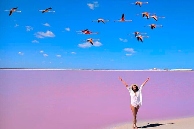 Tour Las Coloradas - The Rio Lagartos Experience