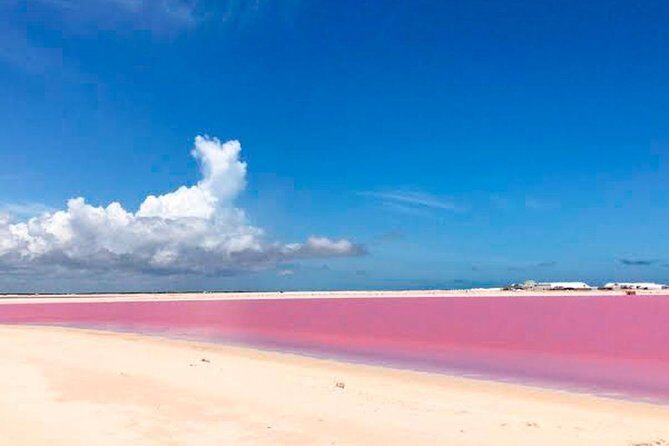 Tour Las Coloradas & Rio Lagartos only from Tulum - An In-Depth Look at the Tour Experience