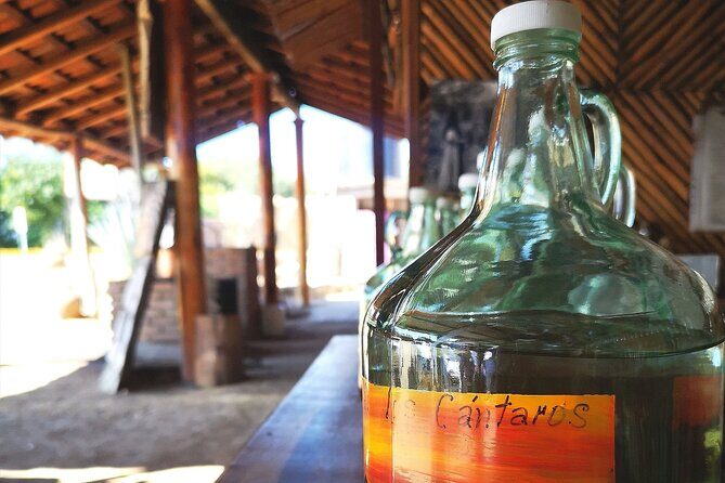 Tour Los Caminos del Mezcal Café and Pedal Loom Factory - Key Points
