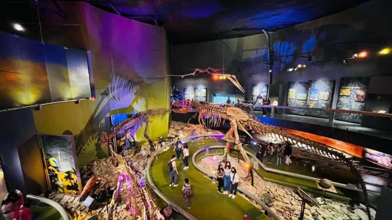 TOUR "Museo del Desierto" + Traslados + Tickets incluidos - Discover Coahuila’s Paleontological Treasures and Historic Charm
