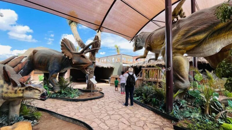 TOUR "Museo del Desierto" + Traslados + Tickets incluidos - Deep Dive into Each Part of the Tour