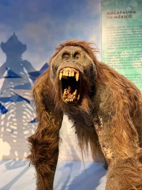 TOUR "Museo del Desierto" + Traslados + Tickets incluidos - Is This Tour Worth It?