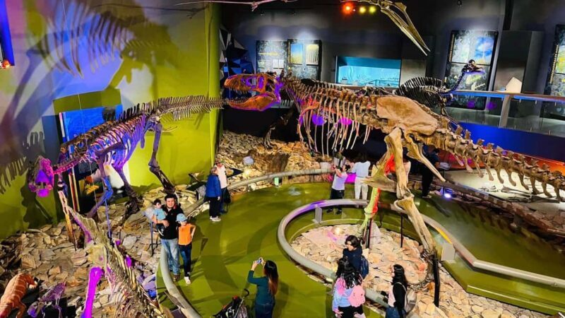 TOUR "Museo del Desierto" + Traslados + Tickets incluidos - Final Thoughts