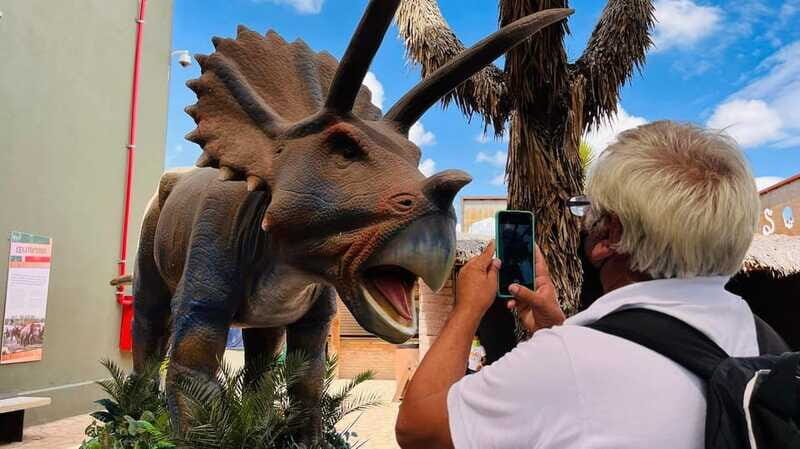 TOUR "Museo del Desierto" + Traslados + Tickets incluidos - FAQ