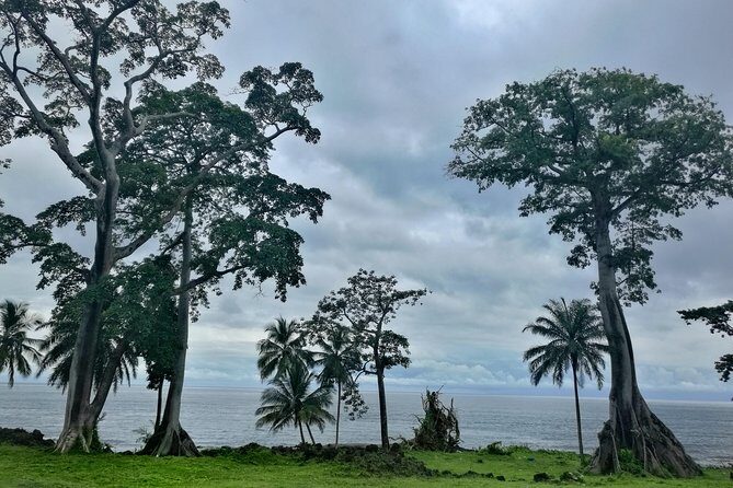 Tour of Bioko Island - Analyzing the Value