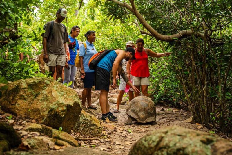 Tour of Cousin, Curieuse and St Pierre island on Catamaran - Cultural and Natural Highlights
