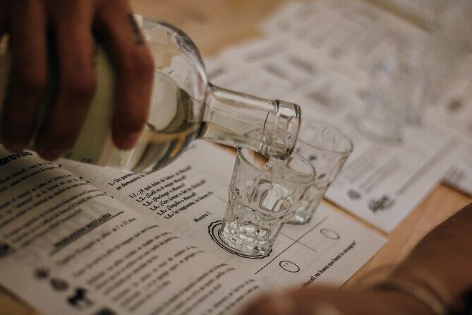 Tour of Mezcalerias in the City - An In-Depth Look at the Tour