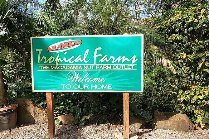 Tour of North Shore & Waimea Waterfall - Who Will Appreciate This Tour?