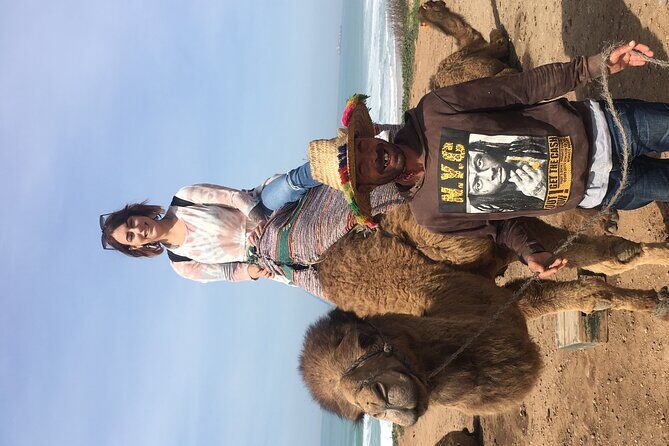 Tour of Tangier 1-2 people with camel ride - Frequently Asked Questions