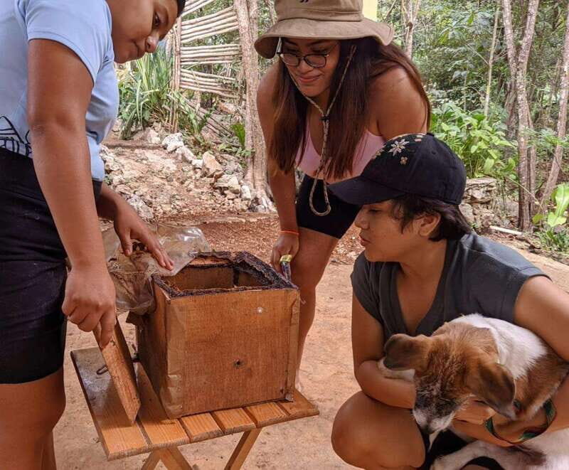 TOUR OF THE 4 BACABES : EXPERIENCE WITH MELIPONA BEES - Practical Details