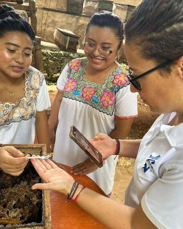 TOUR OF THE 4 BACABES : EXPERIENCE WITH MELIPONA BEES - Final Thoughts