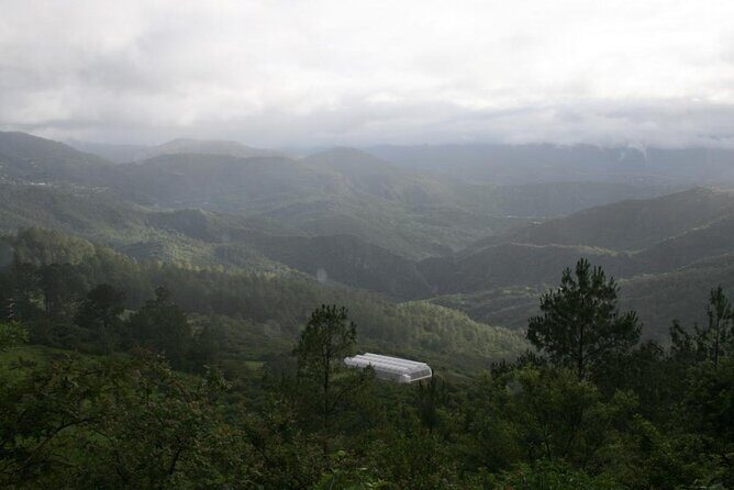 Tour of the Sierra Juárez, Ixtlán, Guelatao and Capulálpam - The Guide and Overall Experience