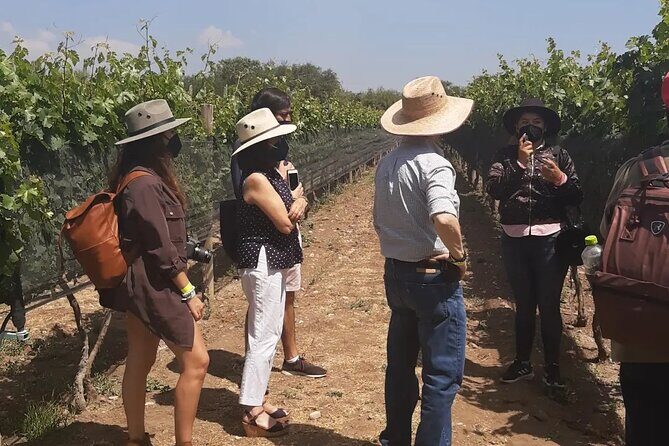 Tour of the Tradition and History of Cheese and Wine in Querétaro - Who Will Love This Tour?