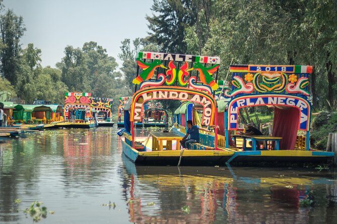 Tour of Xochimilco and Coyoacán, leaving from Mexico City - Key Points