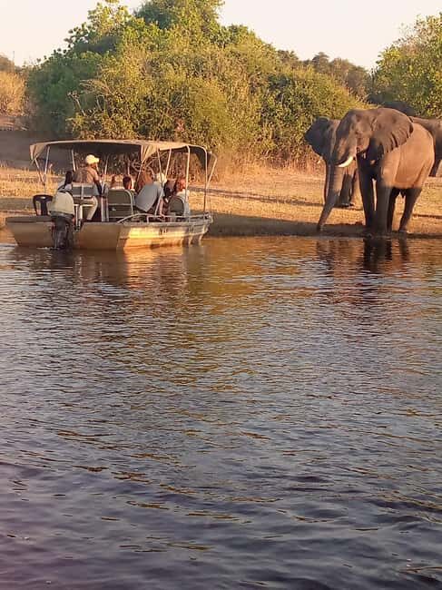 Tour Operator, River Cruises and Safari drives in the Chobe - An In-Depth Look at the Experience