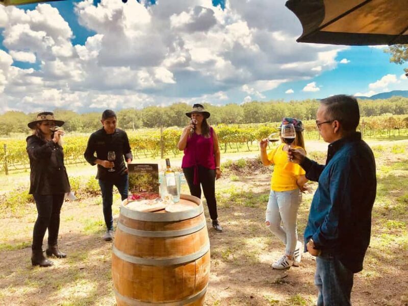 Tour "Parras de la Fuente" + Guía + Traslados + Tickets - Introduction