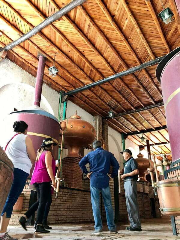 Tour "Parras de la Fuente" + Guía + Traslados + Tickets - Why This Tour Works