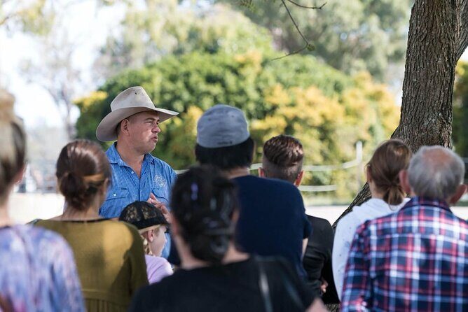 Tour, Taste & Camel Encounter - Meeting the Camels and Exploring the Farm