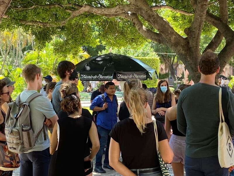 Tour the great city of Mérida, Yucatán - Highlights of the Tour