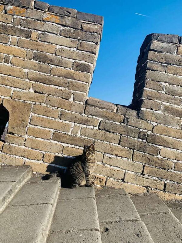 Tour the Great Wall with a Native from Downtown Beijing - Practical Tips