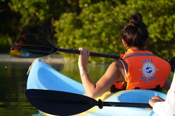 Tour the Mangroves in Kayak by Isla Holbox - Who Will Love This Tour?